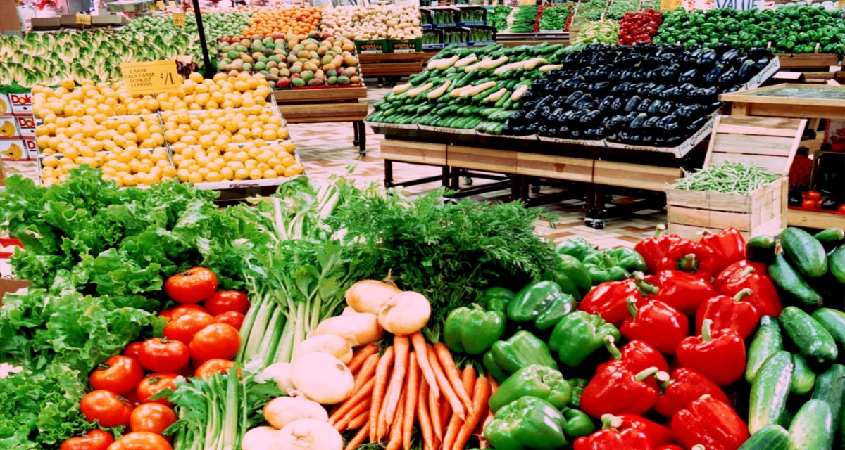 Agro export-slide03 Agro export-slide03